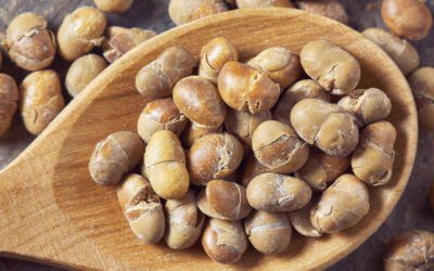 6 Impressive Benefits of Soy Nuts